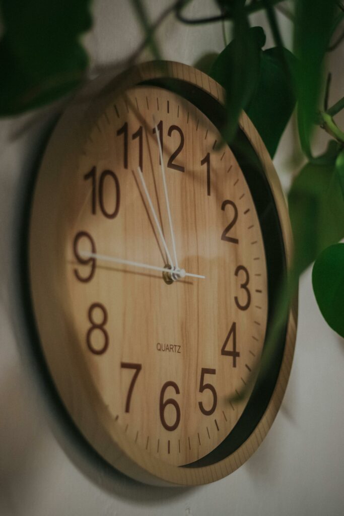 A wooden wall clock surrounded by green plant leaves, blending nature and time.